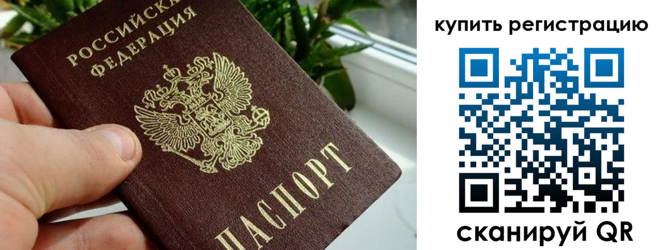 прописка гарантия в Углегорске